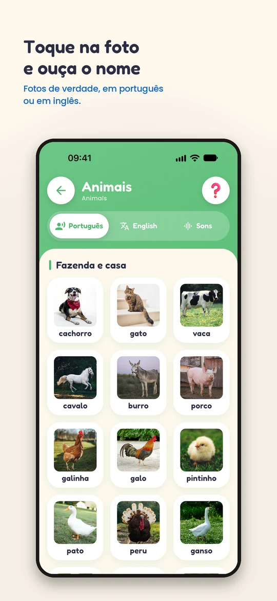Tema Animais em português: fotos reais com o nome de cada bicho
